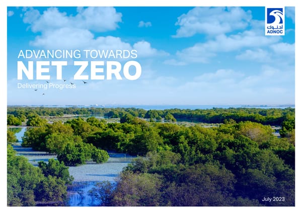 Advancing Towards Net Zero: Delivering Progress - Page 1