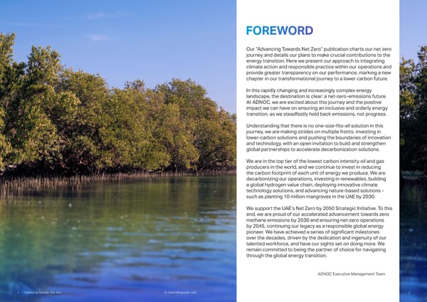 Advancing Towards Net Zero: Delivering Progress - Page 2
