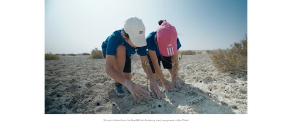 ADNOC Al Nouf Mangrove Forest Initiative - Page 11